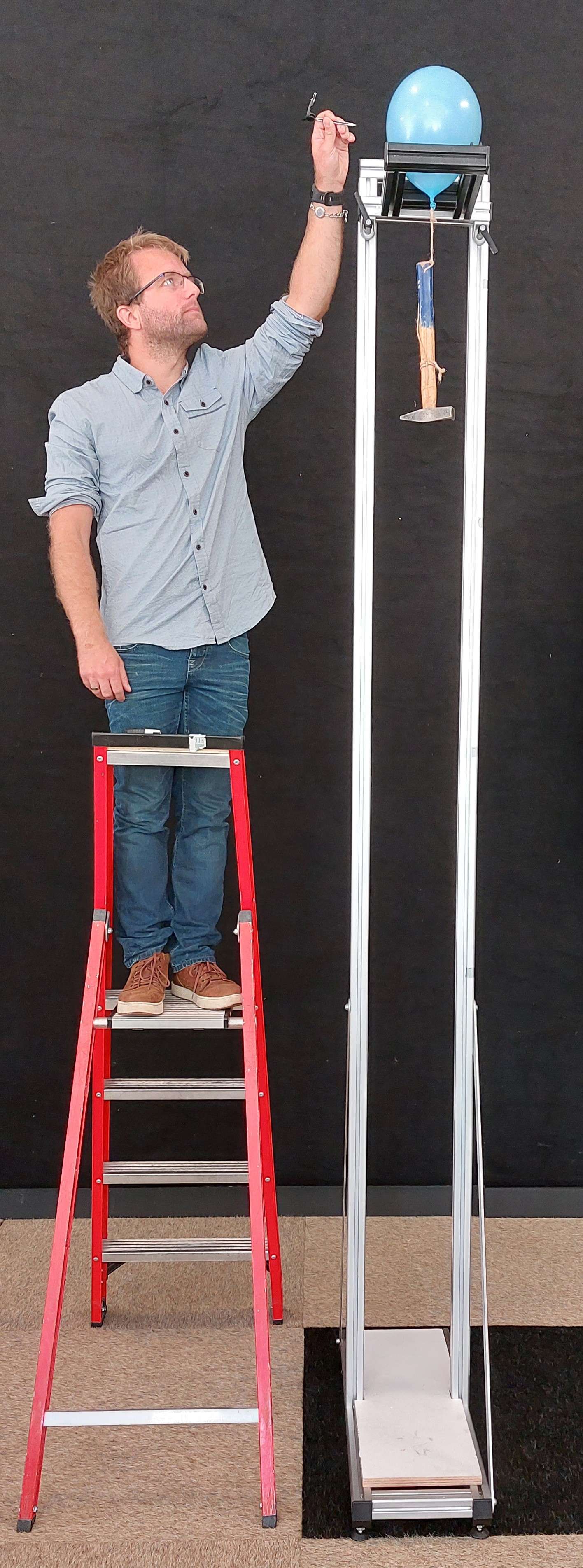 Freek determining the value g, the acceleration due to gravity.