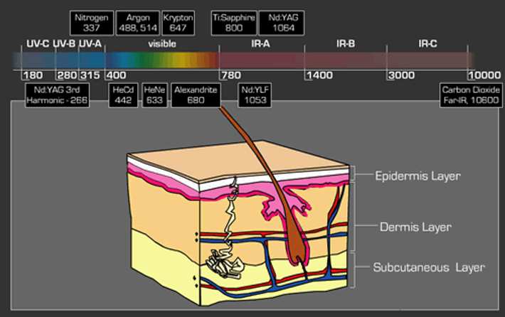 A schematic illustration of the layers of the skin.