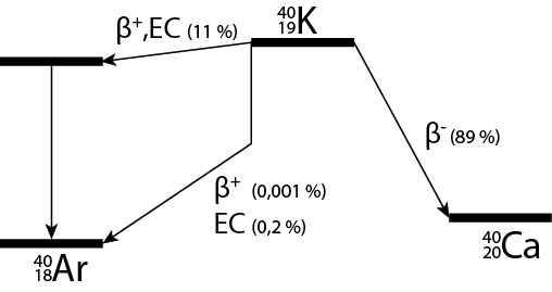 Decay scheme of ^{40}\mathrm{K}. Vertical lines correspond to emission of gamma radiation. EC: electron capture.