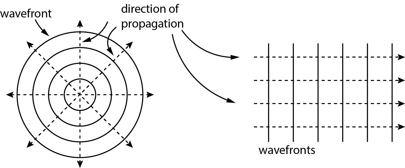 Two characteristic wave patterns. Left: the extension of circular (spherical) shaped wavefronts. Right: plane (flat) waves moving to the right (= parallel light bundle).
