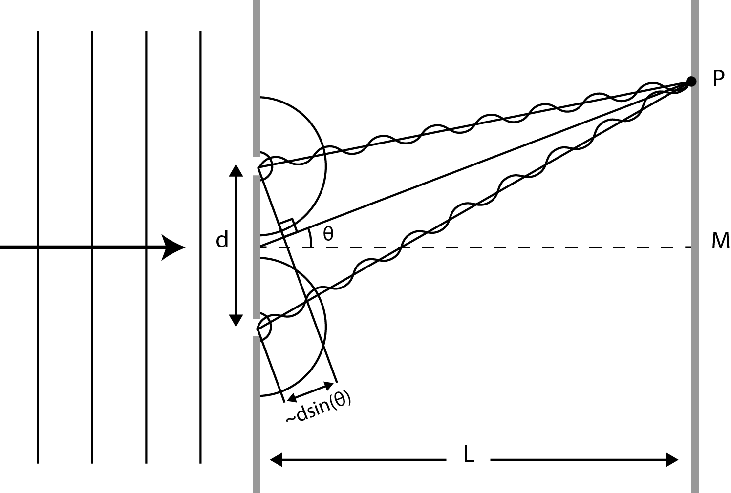 A plane light wave falls on a screen with two holes. These holes work like point sources that emit spherically propagating waves in phase. Both waves interfere constructively in point P in this situation.